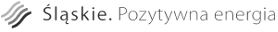 Pozytywna Energia